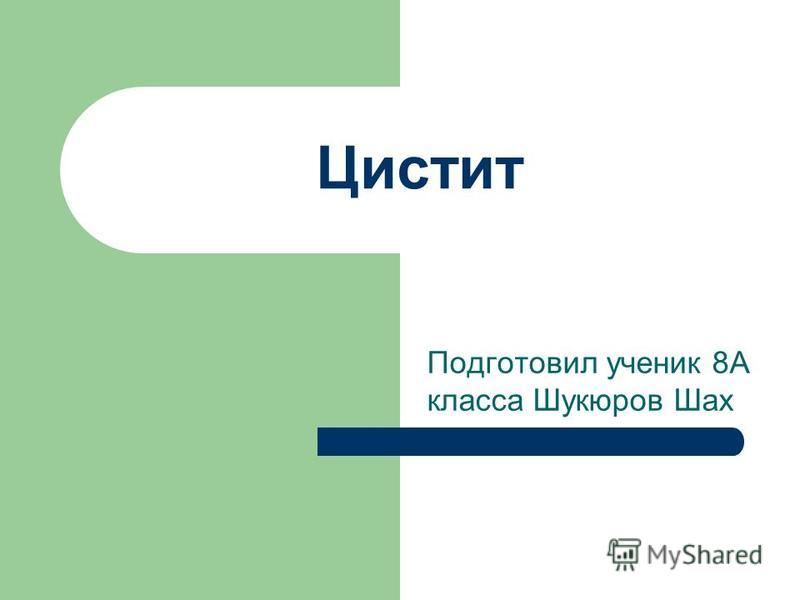Реферат На Тему Цистит Реферат На Тему Цистит