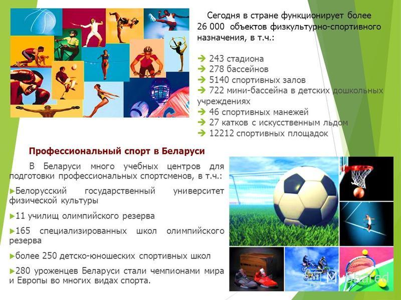 Физическая Культура И Спорт В Беларуси Реферат