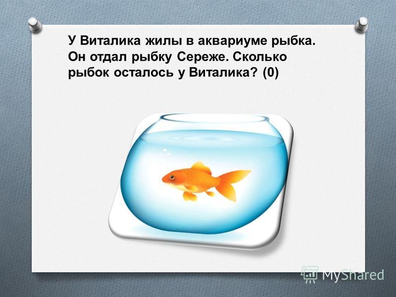 Мама подарила виталику аквариум с рыбками Мама подарила виталику аквариум с рыбками