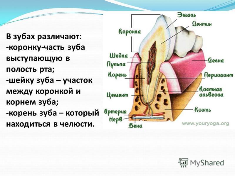 Главная - Ручная работа и креатив - интернет-журнал Поделки Выбоины. - Анекдоты из категории: Профессионалы