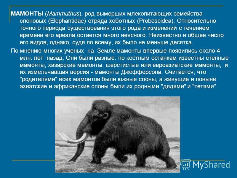 Вымирающие млекопитающие проект какой продукт