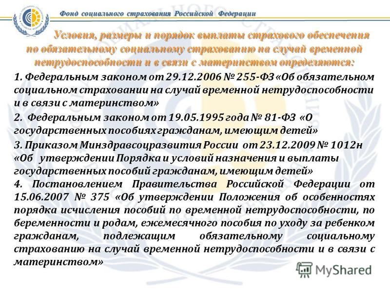 Материнство фсс размер Материнство фсс размер