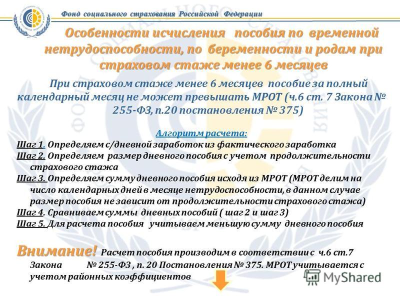 255фз средний заработок мрот, жилина кристина 32 красноярск и одноклассники для бада 2.0 255фз средний заработок мрот