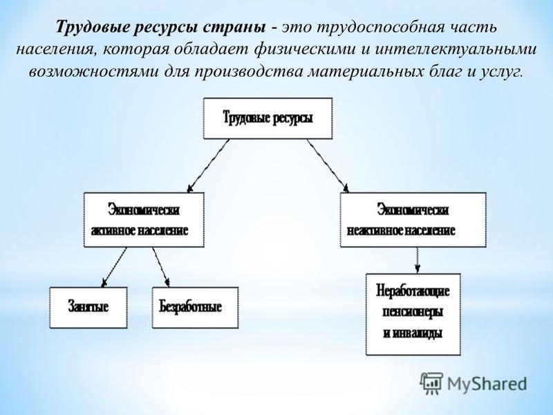 Контрольная работа по теме Понятие трудовых ресурсов, персонала, кадрового состава предприятия. Предприятие как основное звено экономики. Функциональные подсистемы управления организационной структуры