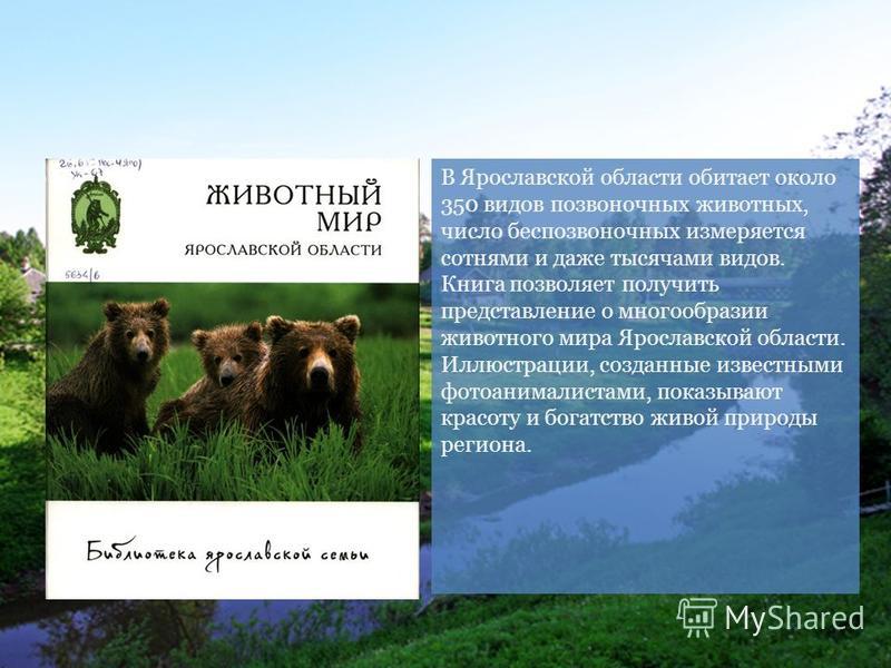 Природа Тульского края презентация, доклад