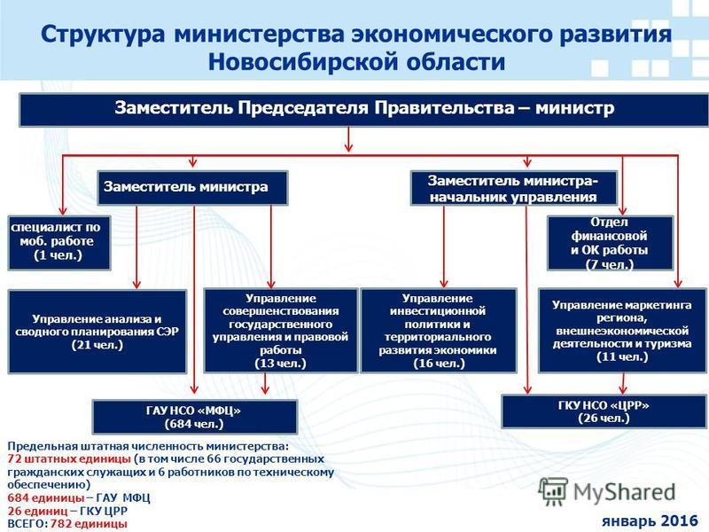 Структура министерства экономического развития Новосибирской области Заместитель Председателя Правительства – министр Предельная штатная численность министерства: 72 штатных единицы (в том числе 66 государственных гражданских служащих и 6 работников 