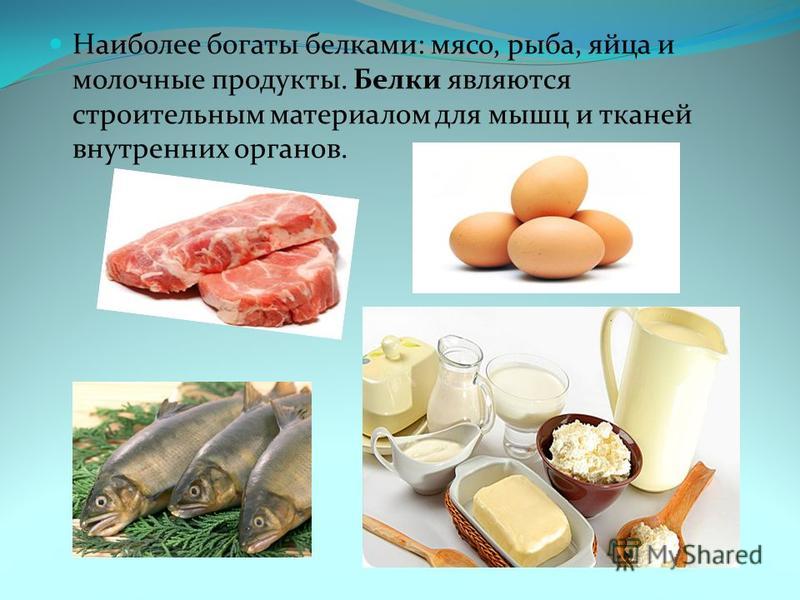 Наиболее богаты белками: мясо, рыба, яйца и молочные продукты. Белки являются строительным материалом для мышц и тканей внутренних органов.