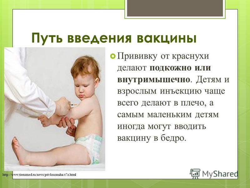 Беременность и вакцинация старших детей, делать или нет. Мой малыш