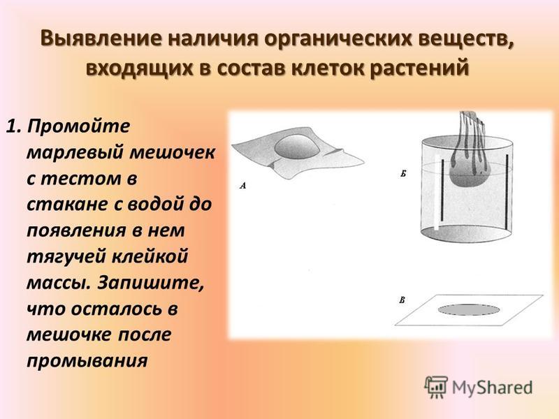 Хим Состав Клетки Контрольная Работа Хим Состав Клетки Контрольная Работа