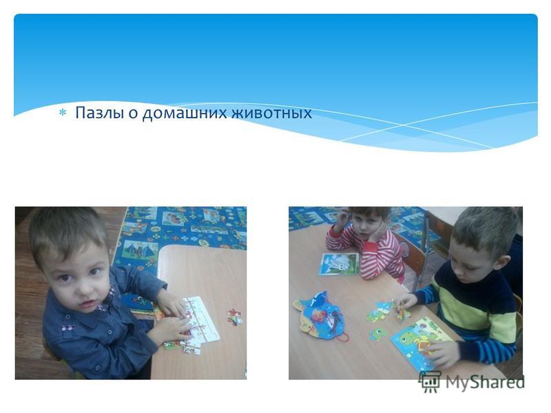 Раскраски котята и щенята бесплатно Раскраски котята и щенята бесплатно