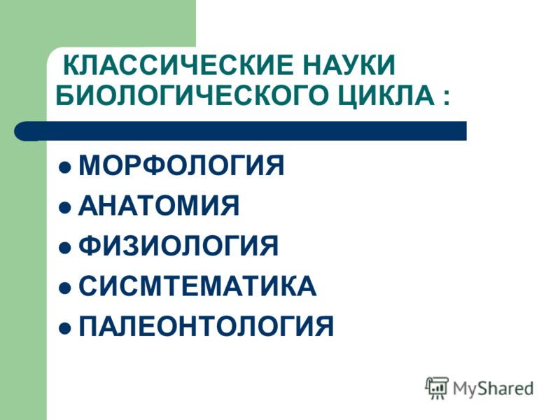 Гдз по Физике 2008 Год 7 Класс