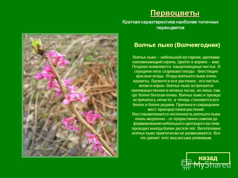 Математика 7 класс в в козлов решебник