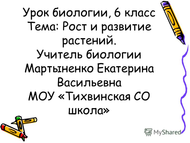 эсм 3 образец заполнения