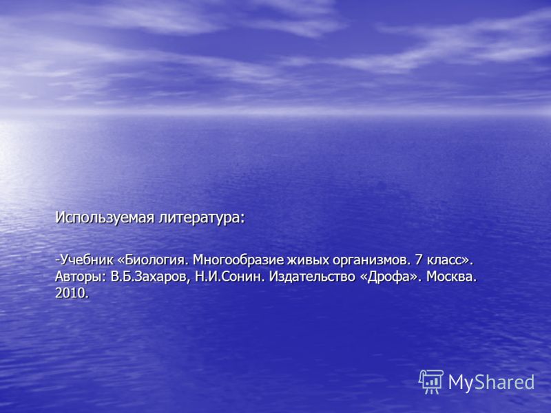 Планы на летние оздоровительные работы