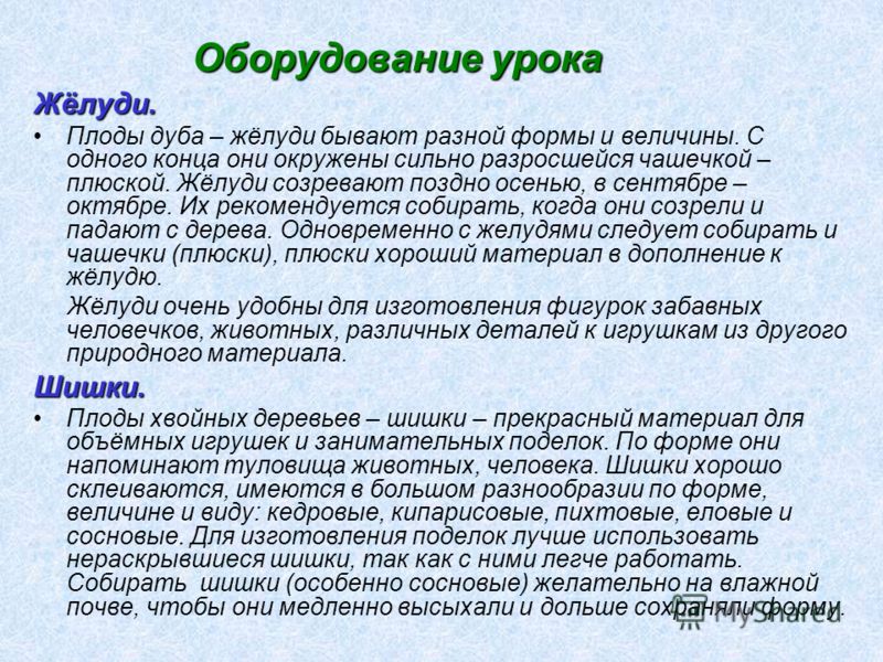 Когда собирать шишки сосны для поделок Когда собирать шишки сосны для поделок
