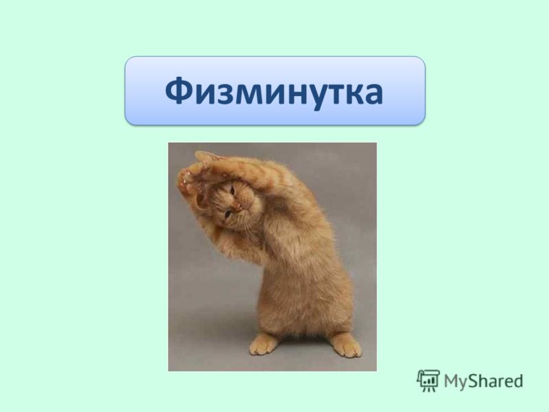 Маска для секущихся кончиков волос Магазины Mustang Gin Tonic: каталог товаров, распродажи, скидки, акции