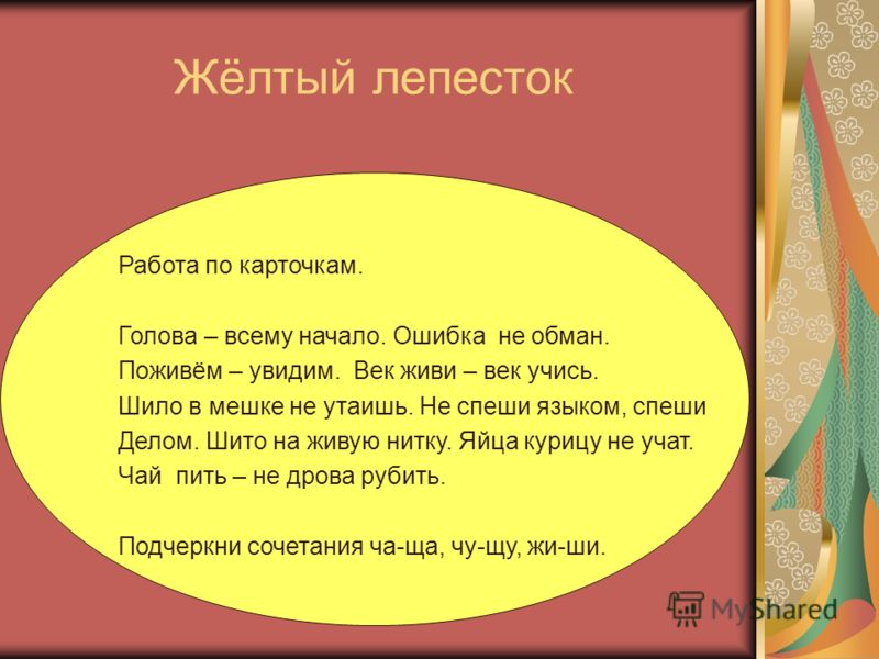 как называется синий чай из тайланда как называется синий чай из тайланда