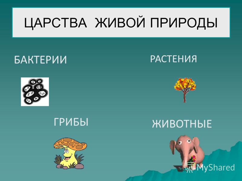 Рабочие тетради 4 класс Перспектива учебники купить выгодно т. 7