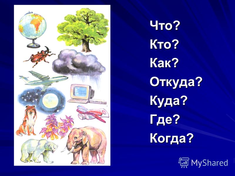 Где солнце днем Где солнце днем