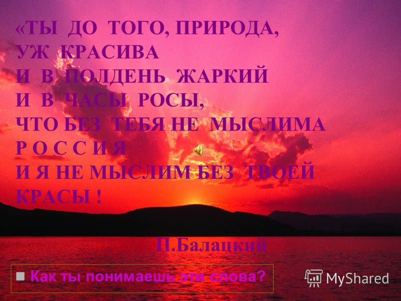 Программа по русскому языку 9 класс