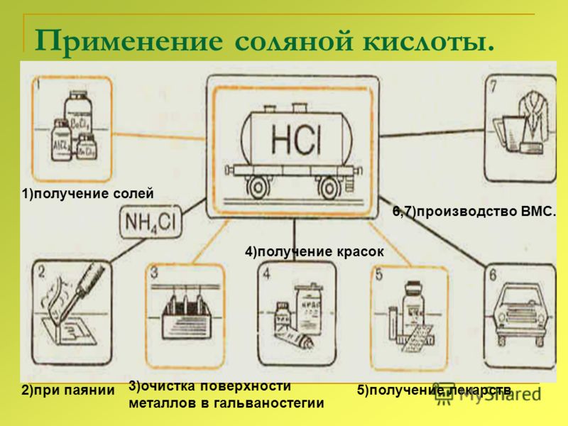 ютуб паразиты в организме ютуб паразиты в организме