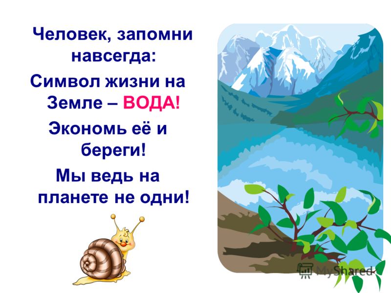 картинки береги воду смотреть