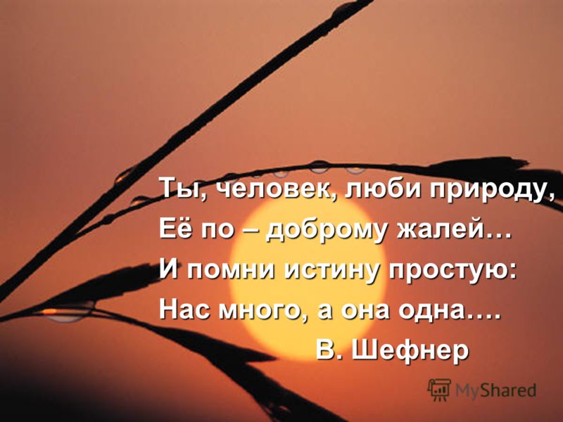Порно много нас она одна