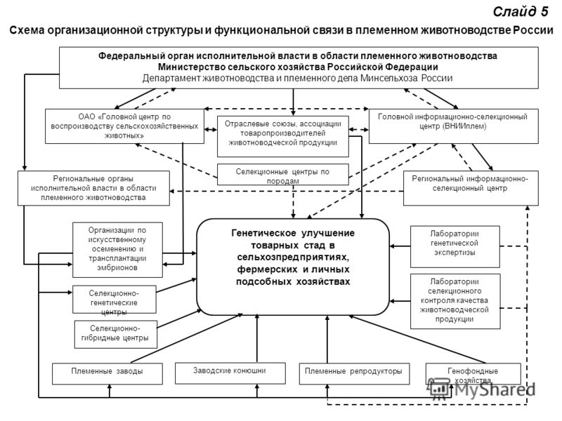 Схема структуры сельского хозяйства фото 136