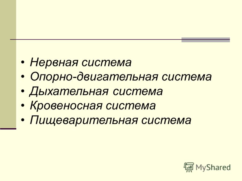 Рабочая программа по литературе 9 класс