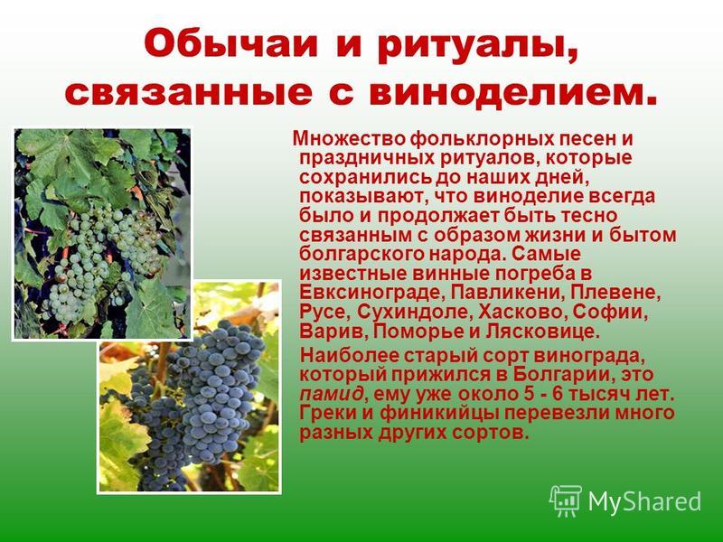 Как быстро и вкусно приготовить пончики