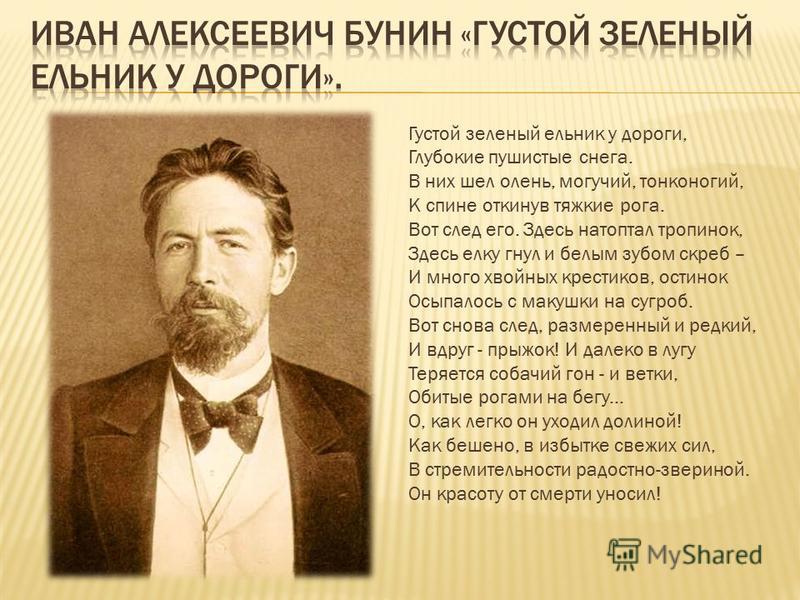 Стих зелёный ельник у дороги Стих зелёный ельник у дороги