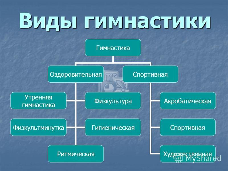 Реферат По Физкультуре На Тему Гимнастика И Ее Виды