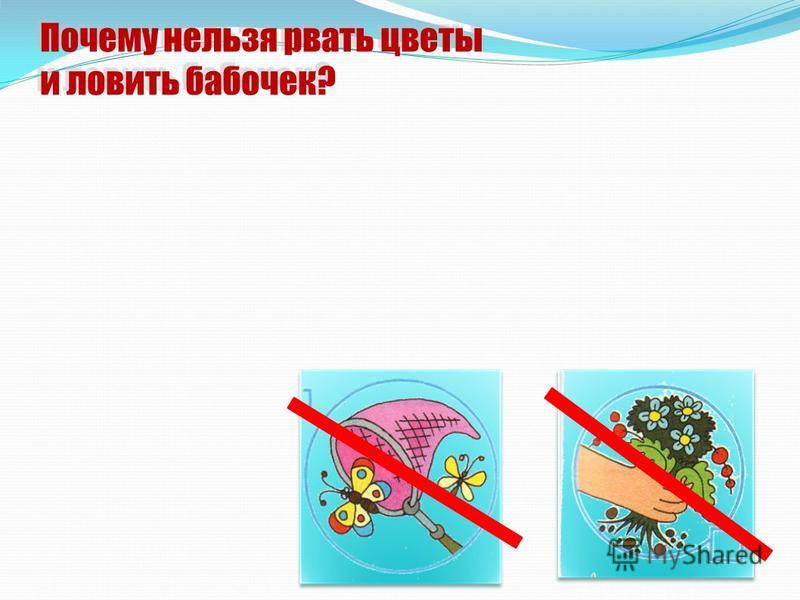 Почему нельзя цветы на работе Почему нельзя цветы на работе