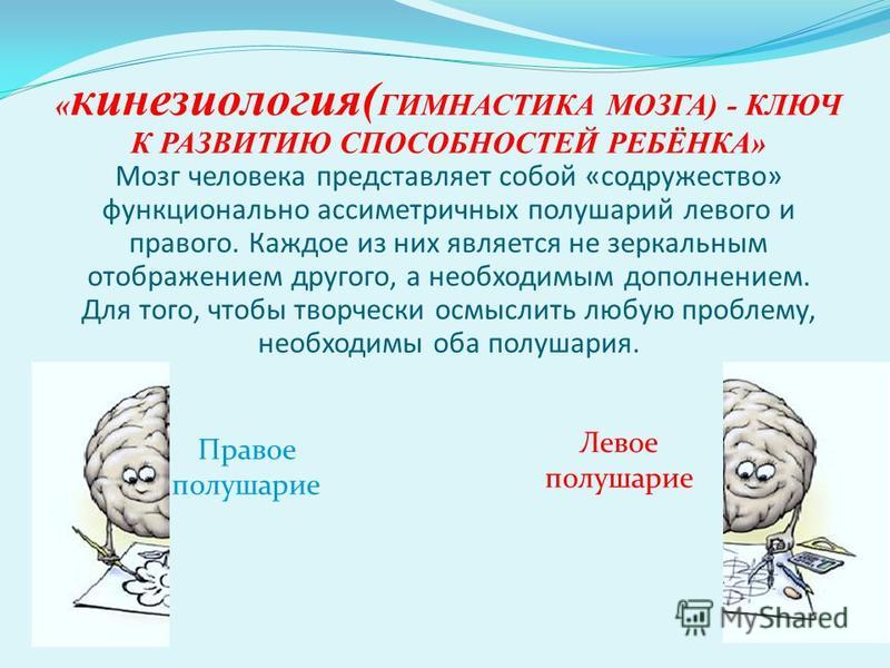 Скачать бесплатно книги по кинезиологии