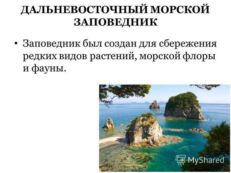 Дальневосточный морской заповедник проект 4 класс