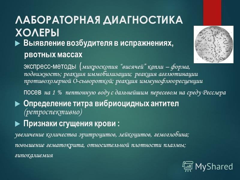 Лабораторная диагностика холеры и клиника Лабораторная диагностика холеры и клиника
