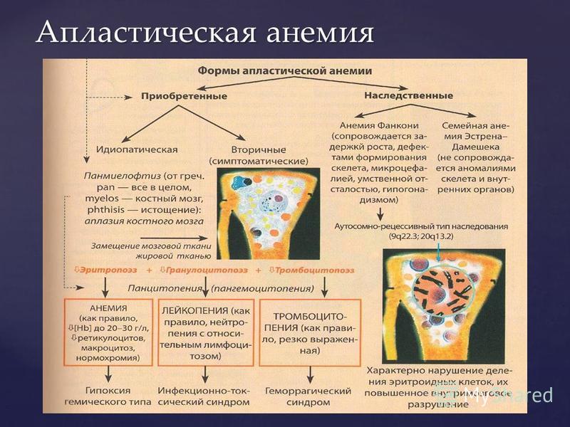 Атеросклероз артерий головного мозга патологическая анатомия
