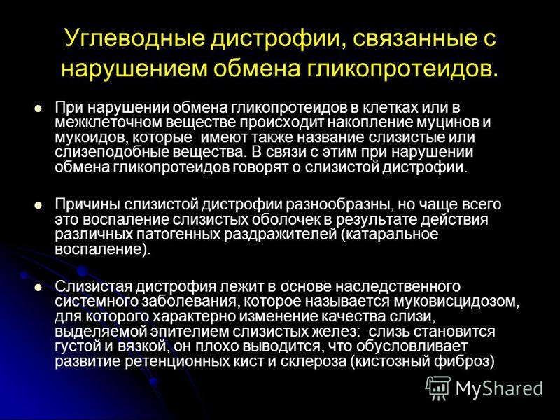 Итальянские женские сумки - купить кожаную Деревянная теплица своими руками: как построить быстро и