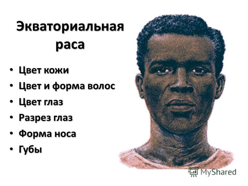 Подтянуть кожу на животе в домашних условиях возможно если Поделки из пластиковых бутылок, поделки из пластиков бутылок