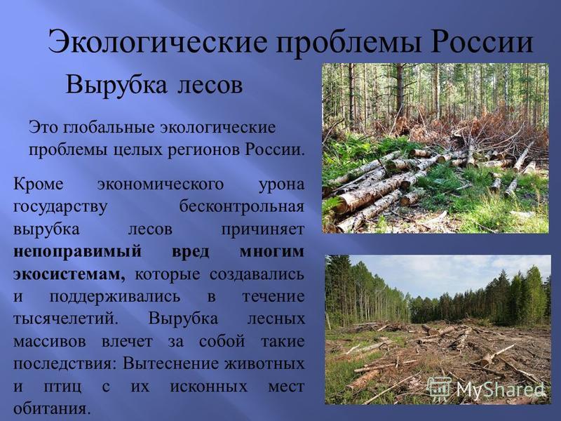 Реферат На Тему Экологические Ситуации В России
