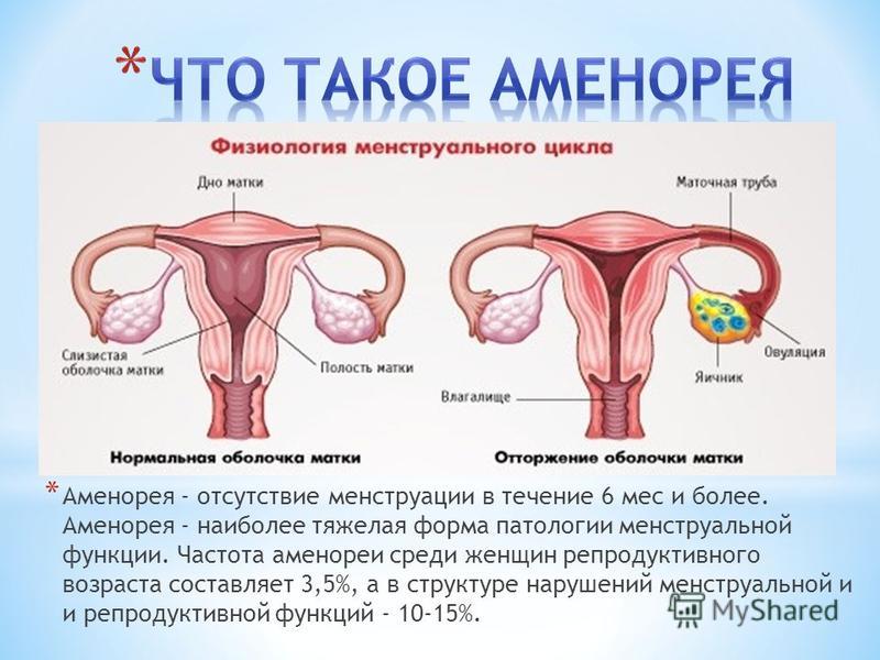 Месяц назад был первый секс может быть задержка месяц назад был первый секс может быть задержка