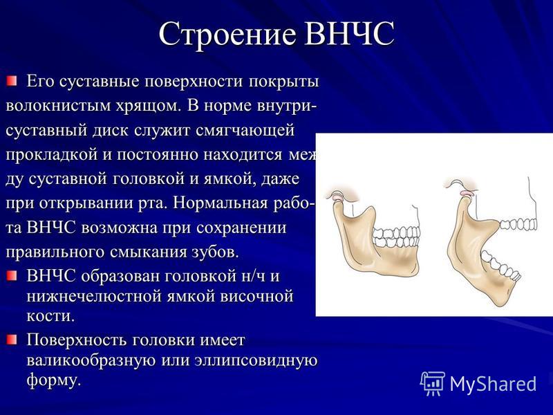 челюстные суставы болезни челюстные суставы болезни