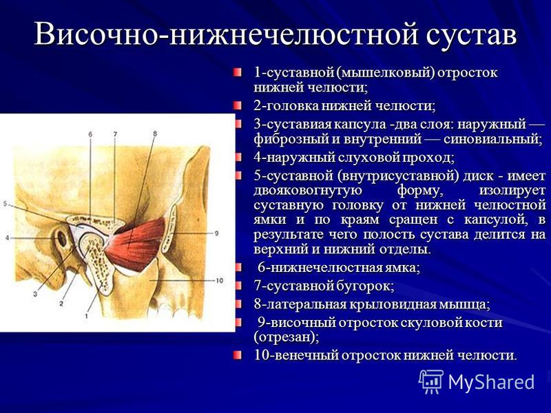 челюстные суставы болезни челюстные суставы болезни