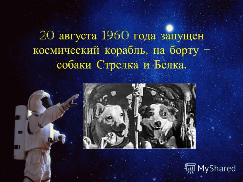 20 августа 1960 года запущен космический корабль, на борту – собаки Стрелка и Белка.