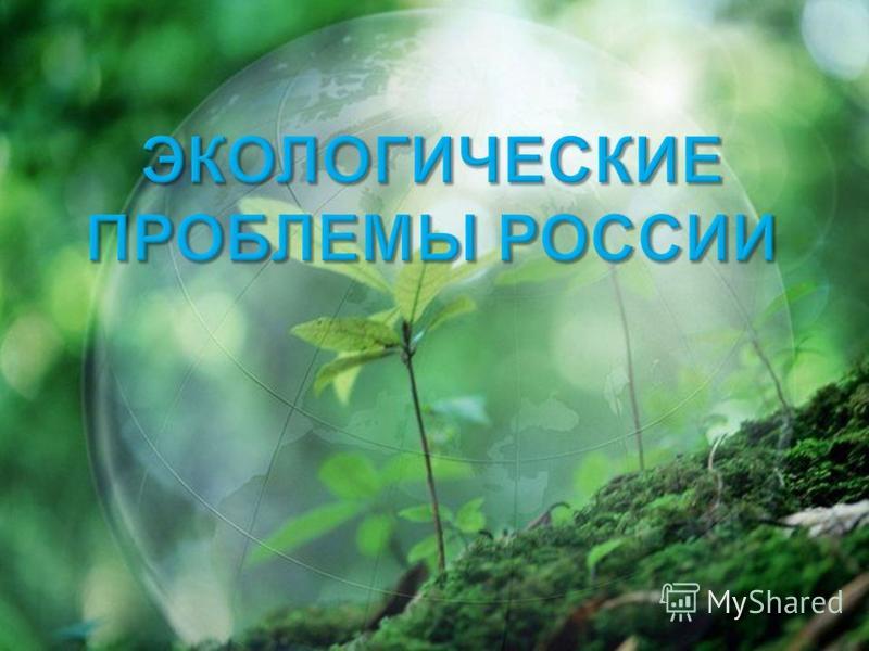 Доклад по теме Экологические проблемы России 