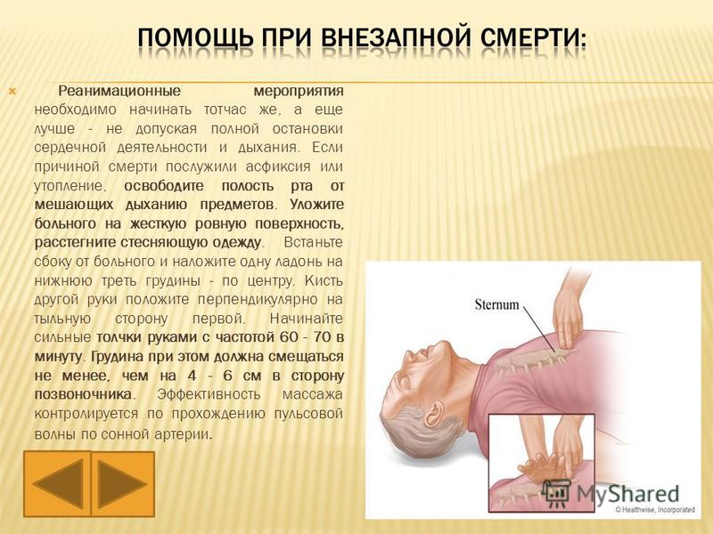 Нурсултан Проститутка Надо Он Умер
