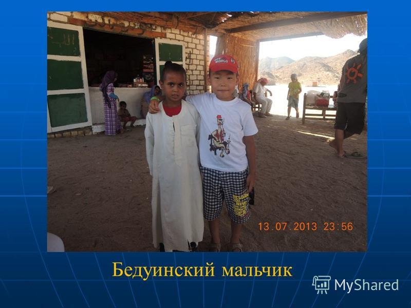 Я узнаю мир конкурс Я узнаю мир конкурс