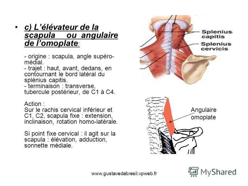 Les méthodes du traitement de la hernie intervertébrale du docteur boubnovskogo