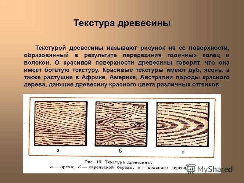 3 Текстура древесины Текстурой древесины называют рисунок на ее поверхности, образованный в результате перерезания годичных колец и волокон. О красивой поверхности древесины говорят, что она имеет богатую текстуру. Красивые текстуры имеют дуб, ясень,