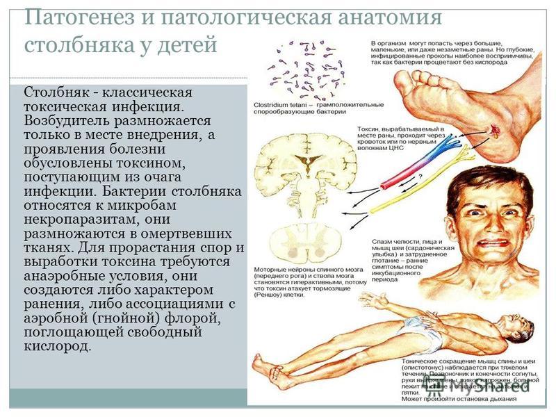 Что болит у мужиков в левом боку